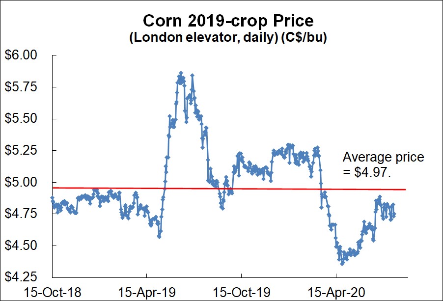 CHART Ontario OldCrop Corn Pric... Syngenta CA